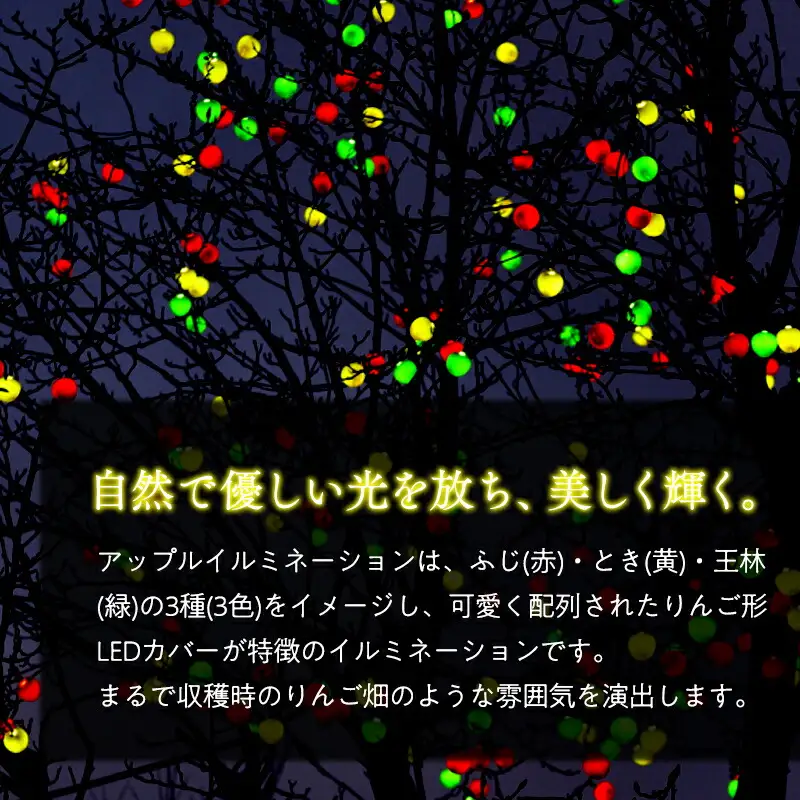 アップルイルミネーション 延長用 2m×3個 【 LED 】 [hi-0021-005]