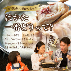 まるいち 水炊きセット（骨付き鶏肉・つみれ）2人前 _KMS0306