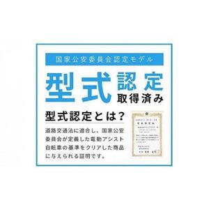 高島屋　PELTECH ２０型ノーパンク折り畳み電動アシスト自転車ＢＧ〈高島屋選定品〉