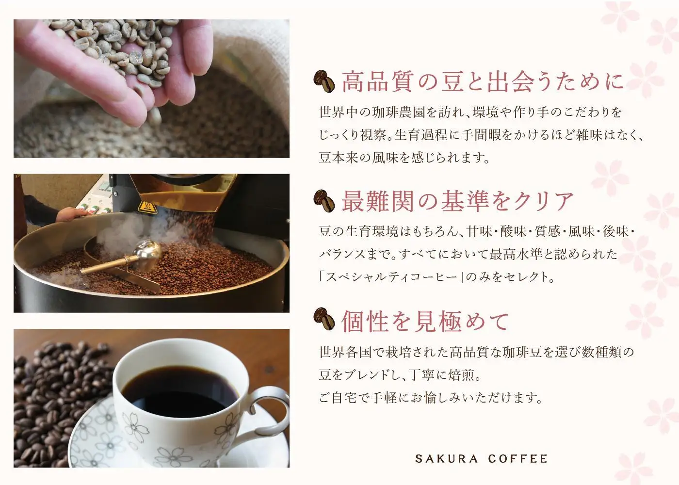 ドリップパック 20P スペシャルティコーヒーアソート【桜珈琲】
