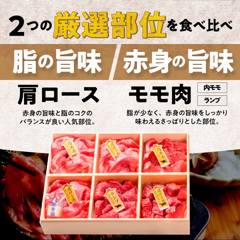 宮崎牛食べ比べ2種6点盛〔AE-31-010〕_(都城市) 肩ロースカレー用 牛もも肉スライス 内もも肉 ランプ肉 牛もも焼肉 牛肩ローススライス にくほんぽ黒たれセット ギフト 贈答用