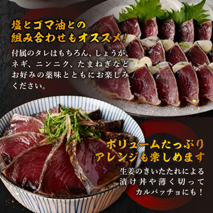 日光丸限定 一本釣り 鰹たたき（ハーフカット）約1.5kg (a10-1066)