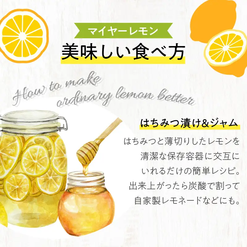 先行予約 都農町産さくらレモン(マイヤーレモン)計2kg フルーツ 果物 柑橘 レモン 国産_T002-0035