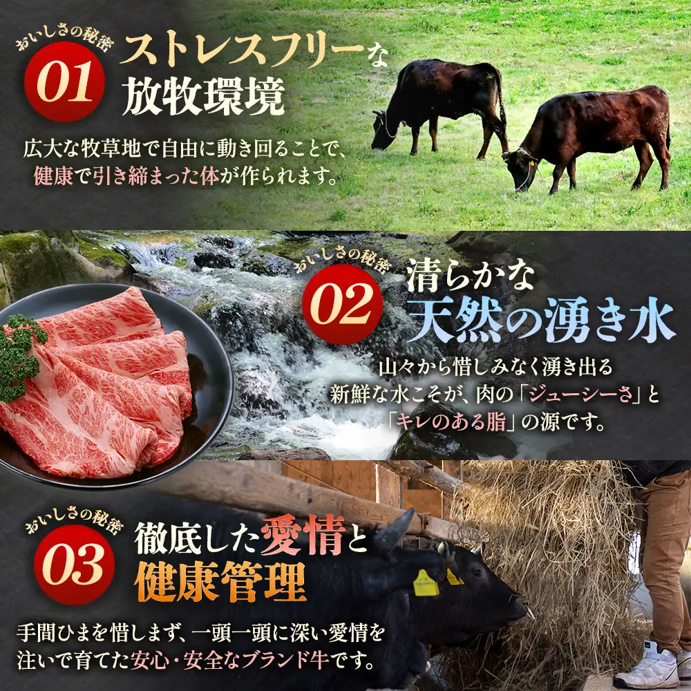 国産和牛 スネ・ネックブロック 650g　黒毛和牛 「三戸・田子牛」