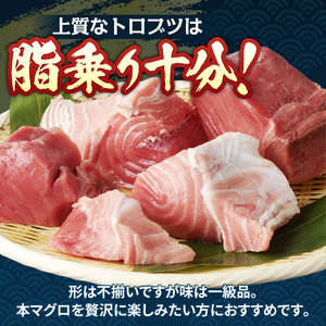 本マグロ トロ ブツ 1kg (a20-493)