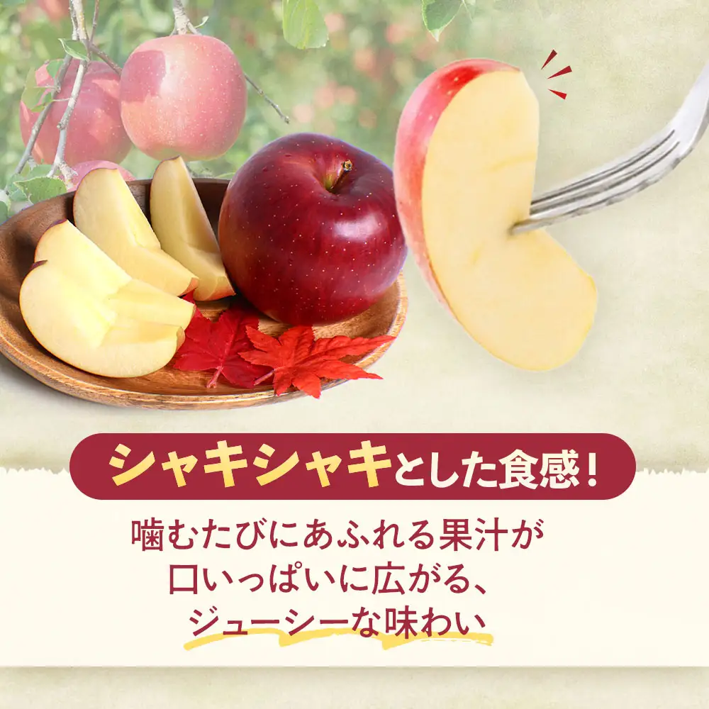 青森県産りんご シナノスイート 約5kg りんご 10月中旬～