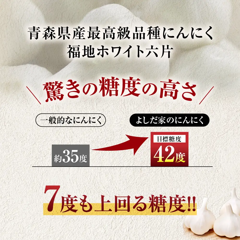 青森県産にんにく 特大サイズ ６玉 福地ホワイト にんにく