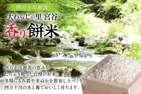 大わらじの里 宮谷 香り餅米 1.5kg