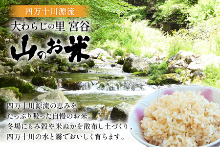 大わらじの里 宮谷 山のお米 玄米 10kg