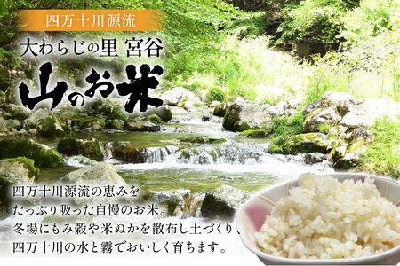 米 大わらじの里 宮谷 山のお米 五分搗き 胚芽米 3kg