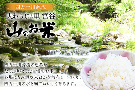 大わらじの里 宮谷 山のお米 3kg