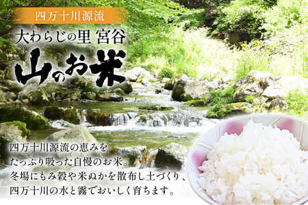 大わらじの里 宮谷 山のお米 10kg