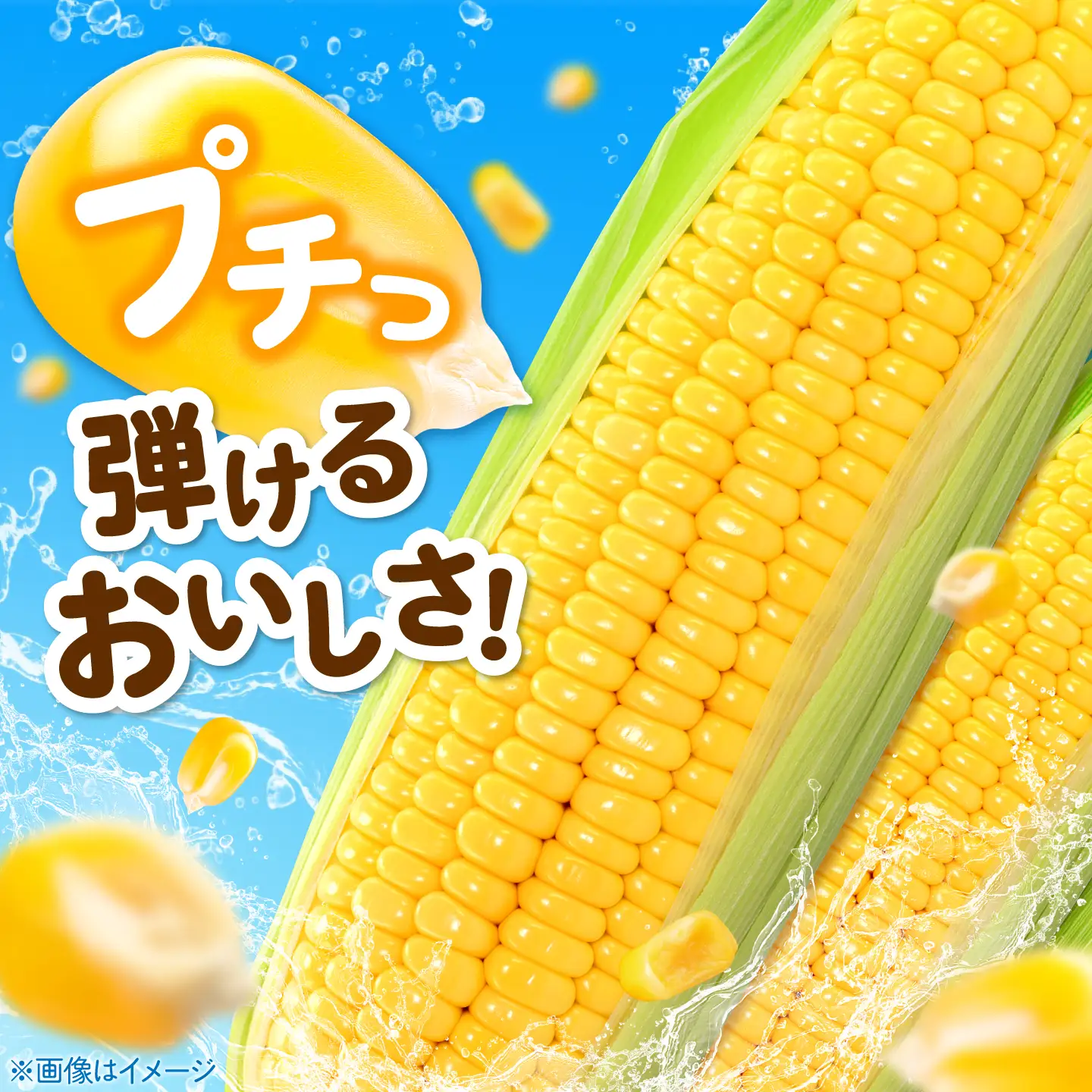 【先行予約】とうもろこし味来 26本 [AJAK007] とうもろこし 北海道 産地直送