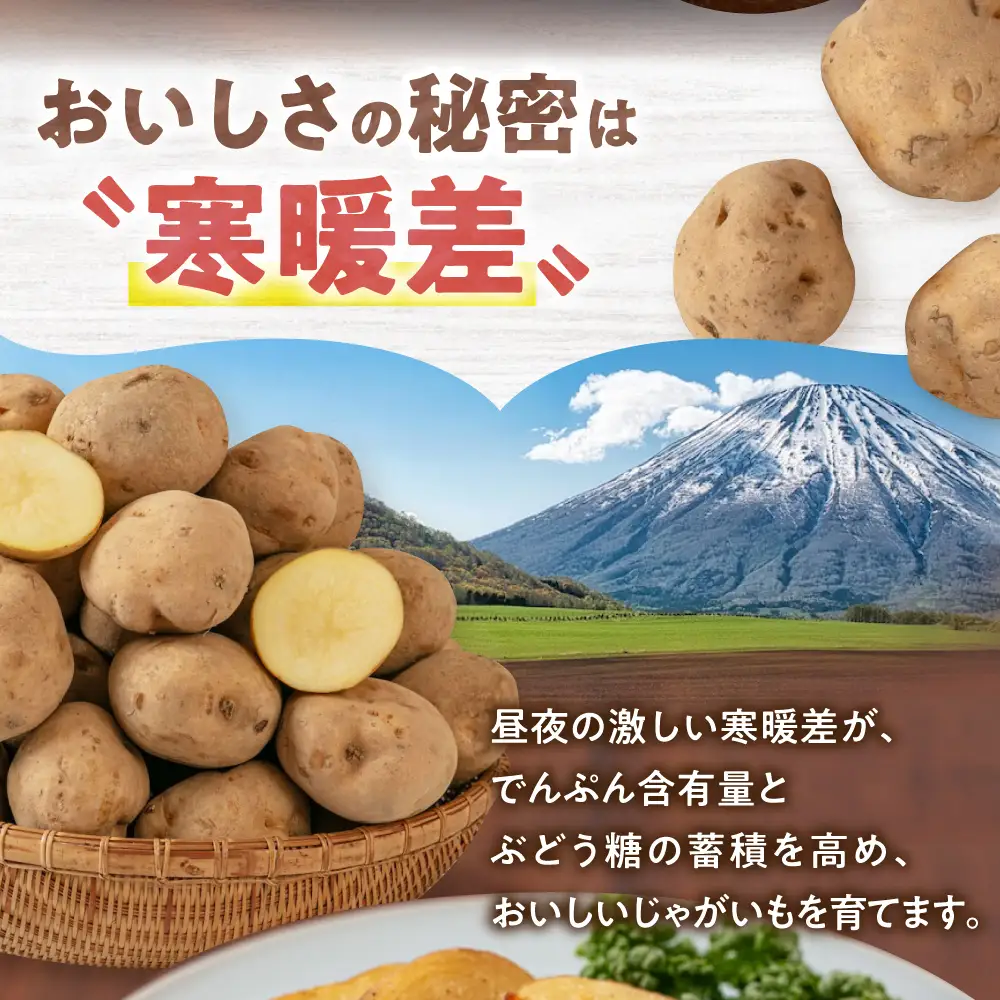  【先行予約】じゃがいもキタアカリ 20kg [AJAK011] じゃがいも