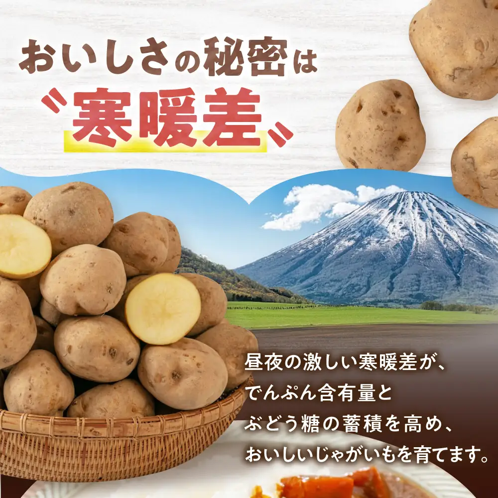  【先行予約】きたかむい 10kg [AJAK012] じゃがいも 