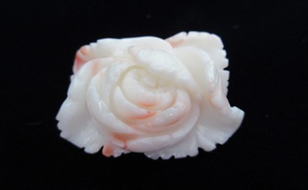 深海珊瑚ぼたんの花 珊瑚