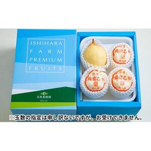梨 2026年  備前乙女梨（鴨梨） 3～4玉入り（約2kg）箱赤秀 【ナシ なし 岡山県産 国産 フルーツ 果物 ギフト 石原果樹園
