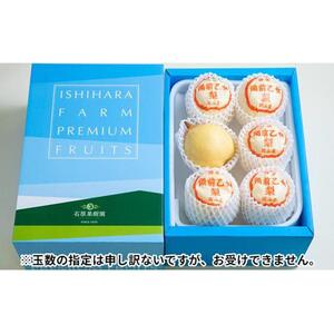 梨 2026年  備前乙女梨（鴨梨） 5～6玉入り（約3kg）箱赤秀 【ナシ なし 岡山県産 国産 フルーツ 果物 ギフト 石原果樹園】