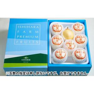 梨 2026年  備前乙女梨（鴨梨） 6～9玉入り（約4kg）箱赤秀【ナシ なし 岡山県産 国産 フルーツ 果物 ギフト 石原果樹園】