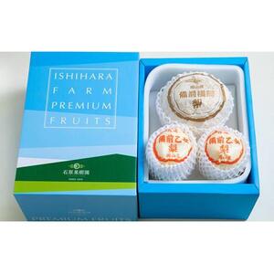 梨 2026年  備前横綱梨（あたご梨） 超大玉1玉 1kg～1.5kg・備前乙女梨（鴨梨） 2～3玉 詰合せ 合計2.0kg以上 箱赤秀【岡山県産 フルーツ ギフト 石原果樹園】