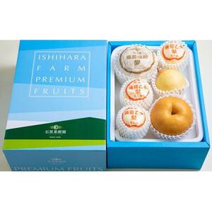 梨 2026年  備前横綱梨（あたご梨） 超大玉2玉（1玉1kg～1.5kg）・備前乙女梨（鴨梨） 4～6玉 詰合せ 合計4kg以上 箱赤秀【岡山県産 フルーツ ギフト 石原果樹園】