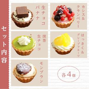 ＜一口サイズの見た目も可愛いみにたると♪＞ミニタルト 厳選5種 20個入 フレッシュタルトのお店 STYLE 岡山にあるタルト専門店 | タルト ミニタルト 人気タルト おすすめタルト フルーツタルト 冷凍タルト スイーツ