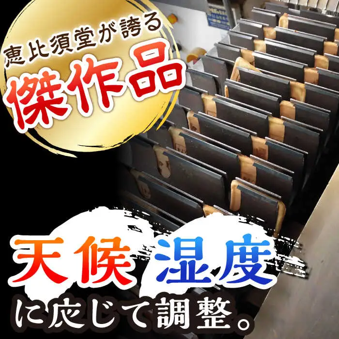【6回定期便】夢本陣 10枚（2種×5枚） /恵比須堂 [UBQ011] 煎餅 せんべい