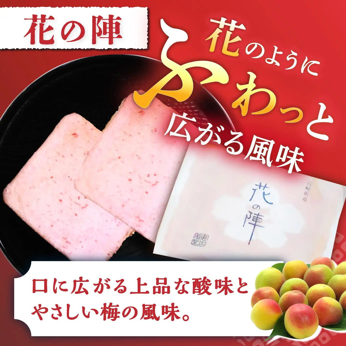 【3回定期便】夢本陣 24枚（12枚×2種） /恵比須堂 [UBQ014] 煎餅 せんべい