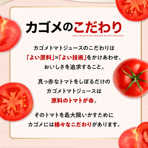 【定期便3ヵ月】カゴメ　トマトジュース　食塩無添加　190g缶×30本 1ケース 毎月届く 3ヵ月 3回コース【 栃木県 那須塩原市 】 ns001-017