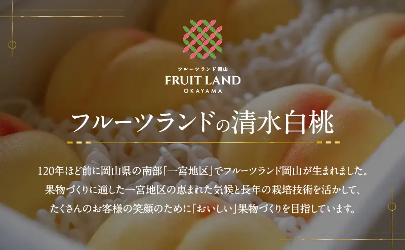 桃 2027年 先行予約 清水白桃 5玉 合計約1.3kg もも モモ 岡山県産 国産 フルーツ 果物 ギフト