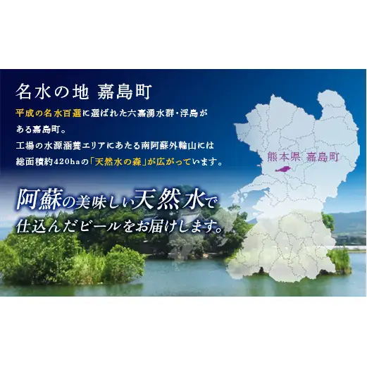 FK7-0473_【香るエール・金麦交互8回定期便】ザ・プレミアム・モルツ香るエール/金麦 各350ml×24本 熊本県 嘉島町 ビール