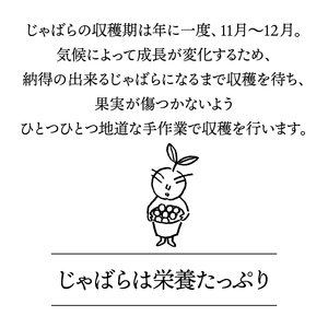 【期間限定】じゃばら果実 3キロ＋約300g (傷み保証分) 【予約受付/11月下旬より順次発送】【njb182A】