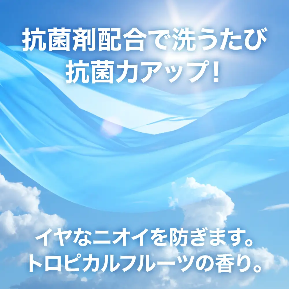 洗濯洗剤 液体洗剤セット 本体×12本 [FZ001]
