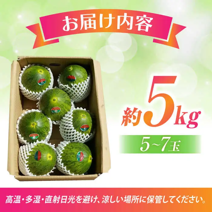【2027年4月中旬-発送】パパイヤメロン 約5kg（約5~7玉）/ メロン めろん パパイヤメロン 果物 フルーツ / 南島原市 / 長崎県農産品流通合同会社 [SCB086]