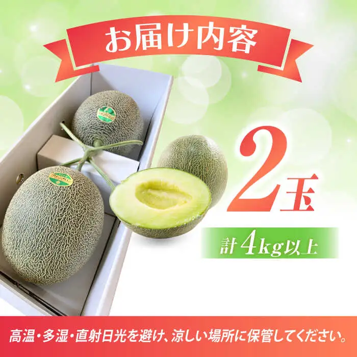 【2027年5月中旬-発送】肥後グリーンメロン 2玉（合計4kg以上） [SCB088] メロン