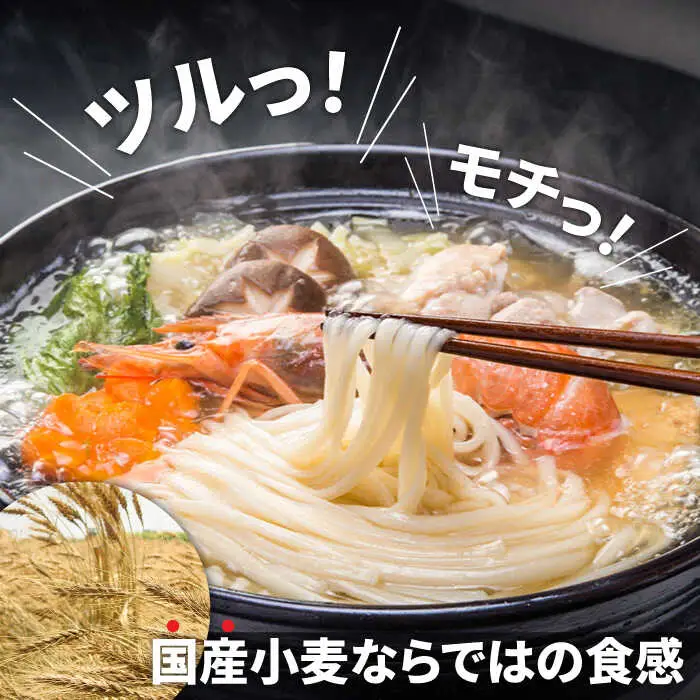 島原 手延べうどん 山道うどん 国産小麦100％ 160g×30袋 4.8kg / 島原手延べ うどん ウドン 饂飩 乾麺 麺 / 南島原市/ そうめんの山道 [SDC011]