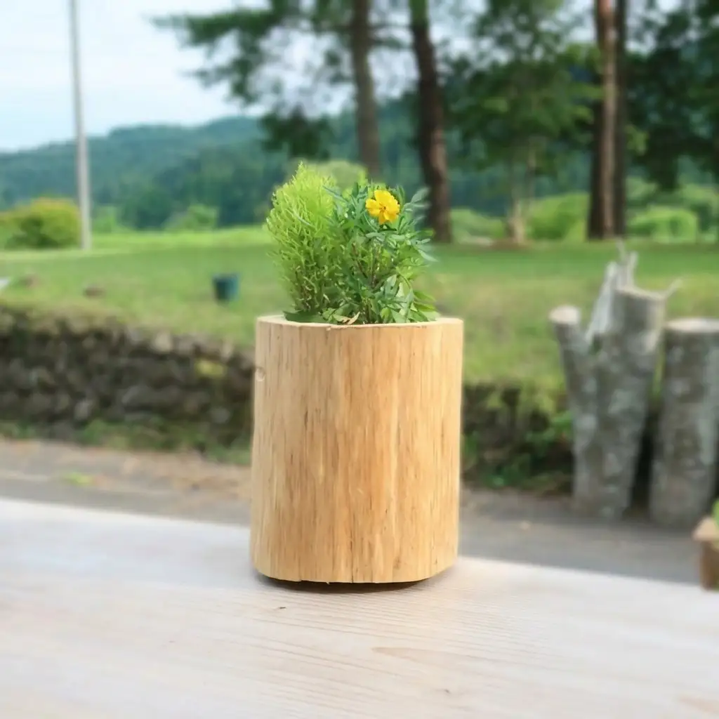 木製プランター 秋田杉 生え杉くん 縦長 木製プランター