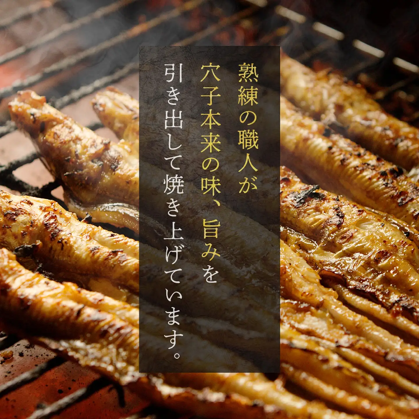 焼穴子 約500g（国産・大きいサイズ約5本）