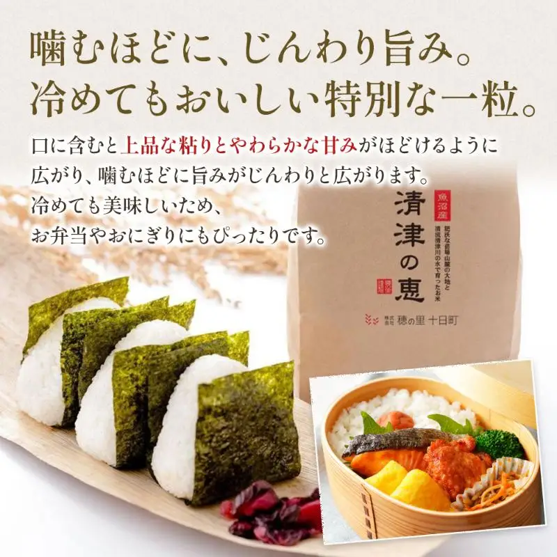 コシヒカリ 令和7年産 特別栽培米 清津の恵 2kg コシヒカリ