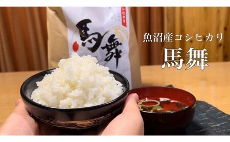 魚沼産コシヒカリ「馬舞」定期便 白米5kg×12ヶ月 お米 おこめ こめ 精米 こしひかり お楽しみ 新潟 