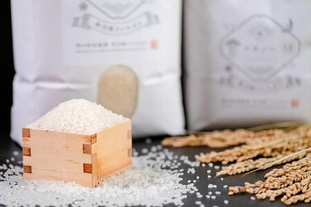 【令和7年産】 魚沼産コシヒカリ 「イネノハ 」精米(5kg×3) お米 白米 ご飯 産地直送 ミネラル 栄養分 こだわり 人気 新鮮 