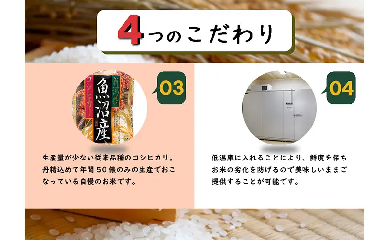 数量限定 従来品種 魚沼産コシヒカリ 精米 5kg×5