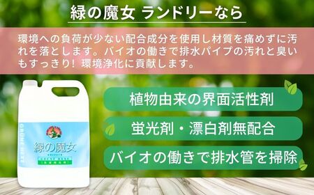 緑の魔女ランドリー 5L×3本 排水口もスッキリ | 洗剤・洗濯洗剤