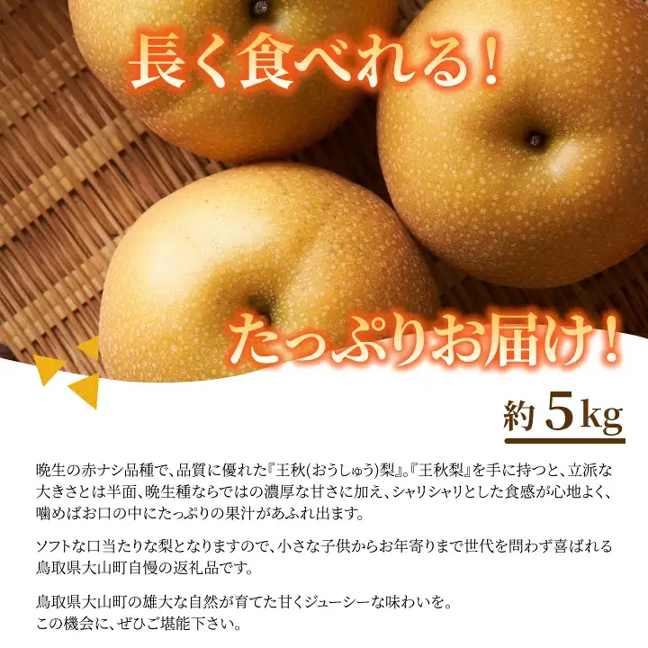 DS-08　王秋梨 5kg
