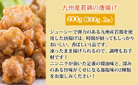 《期間限定：訳アリ不揃い唐揚げ500g付き》お手軽国産素材の手作りおかず3種類セット2.2kg(ピーマン肉詰め ハンバーグ 唐揚げ) TF0759-P00064