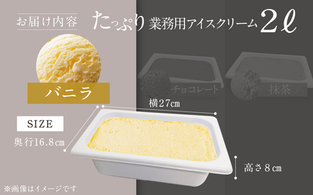 大容量 バニラ 業務用アイス 2リットル 大容量 mt712