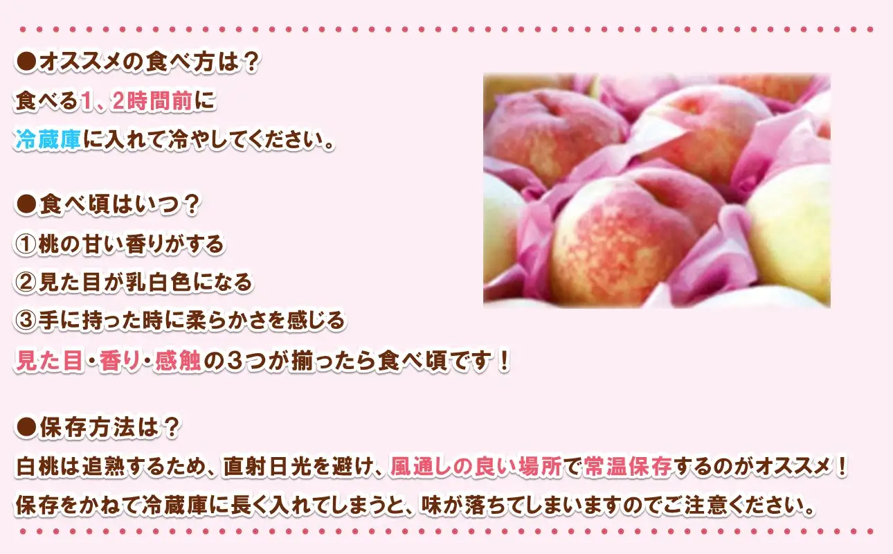 【2027年発送分・先行予約開始！】岡山県産 白桃 最高ランク！「ロイヤル」約2kg（5～7玉）（令和9年7月以降発送）【桃】