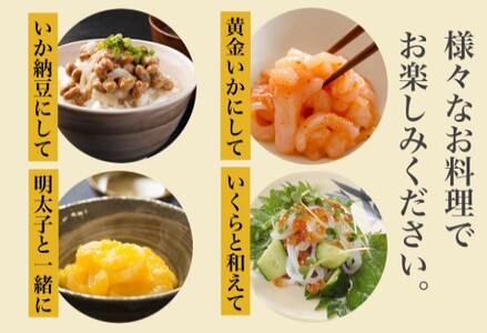真いか お造りジャングル 500g×2袋 1kg 訳あり いか 刺身 海鮮 _HD108-012