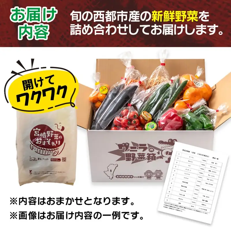 【3回定期便】西都市旬の特産詰め合わせセット 野菜・スイートコーン等＜32-4a＞野菜