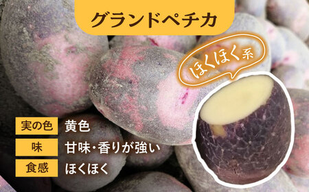 【先行予約】 自然栽培のじゃがいも 3種類 約15kg 【ほたるファーム】 野菜 芋 国産[TEB007]